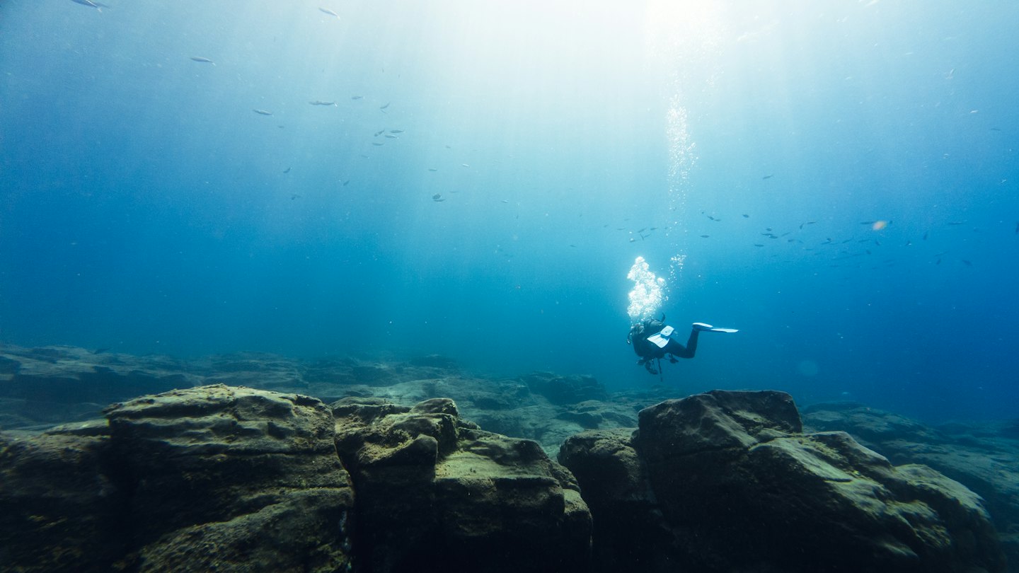 Duiker blaast bubbels uit bij rotsachtige zeebodem in blauw water.