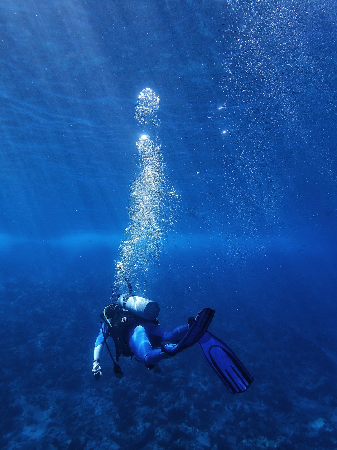 Duiker blaast bubbels uit diep onder water bij koraal.
